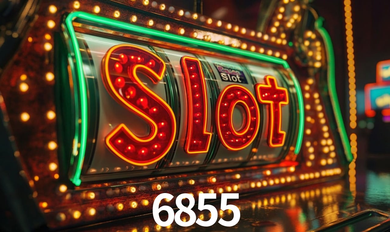6855 - Support