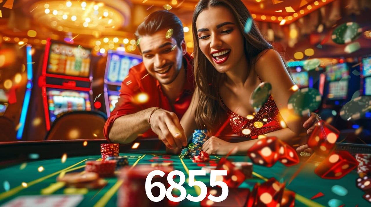 6855 - Customer Support