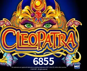 6855 Curitiba - Live Status
