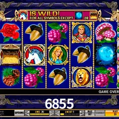 6855 Rio de Janeiro - Bonus Terms